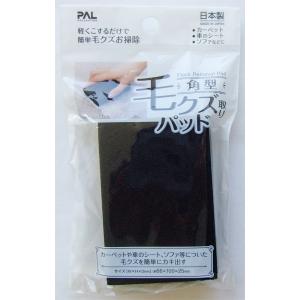 毛クズ取りパッド 角型 6.6×10×厚さ2.5cm (100円ショップ 100円均一 100均一 100均)