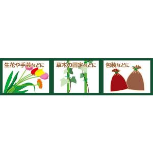 カッター付ビニールタイ 50m (100円ショ...の詳細画像4