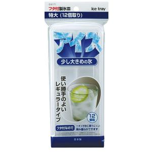 製氷皿 フタ付 特大 (100円ショップ 100円均一 100均一 100均)