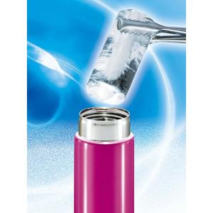 製氷皿 ボトルアイス (100円ショップ 10...の詳細画像2