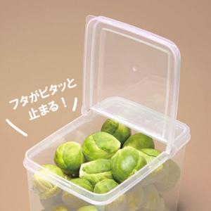 ロックパック スリム L(容量1.8L) (1...の詳細画像5