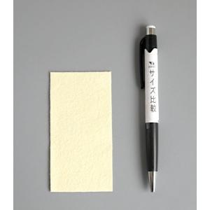 貴金属磨きクロス 金ピカ美人 (100円ショッ...の詳細画像1