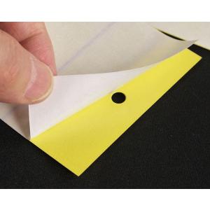 虫取りシート 両面タイプ ヒモ付 2枚入 (1...の詳細画像5