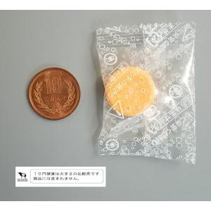 パイプ用洗浄剤 オレンジオイルでパイプきれい ...の詳細画像3
