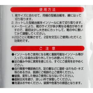 インソール 保温 男性用 フリーサイズ (10...の詳細画像4