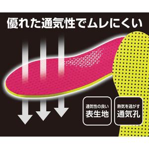 インソール エアスルー 高弾力 抗菌 女性用 ...の詳細画像3