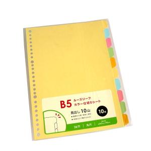 B5バインダー用透明下敷き 26穴ファイル (100円ショップ 100円均一 100