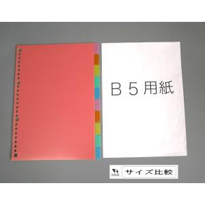 B5 PPカラーインデックス 10山入 (10...の詳細画像1