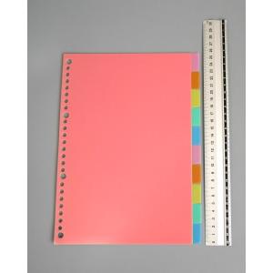B5 PPカラーインデックス 10山入 (10...の詳細画像2