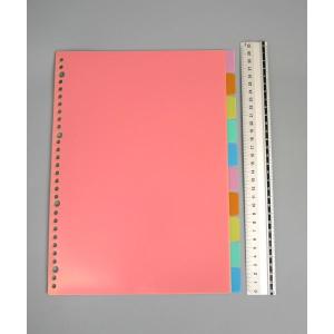 PPカラーインデックス A4サイズ 30穴 イ...の詳細画像2