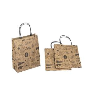 紙袋 クラフトイラスト S 3枚