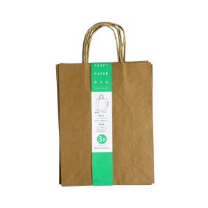 紙袋 縦長Ｍ(縦30×横23×マチ10cm) 3枚入 クラフト 無地 (100円ショップ 100円均一 100均一 100均)