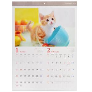 カレンダー 2022年 壁掛タイプ A2サイズ ネコ
