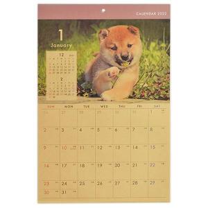 カレンダー 2022年 壁掛タイプ B4サイズ クラフト イヌ