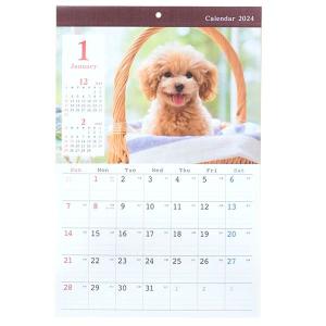 カレンダー 2024年 壁掛タイプ A3サイズ イヌ (100円ショップ 100円均一 100均一 100均)