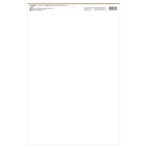 カレンダー 2027 壁掛け A3 ねことシマ...の詳細画像1