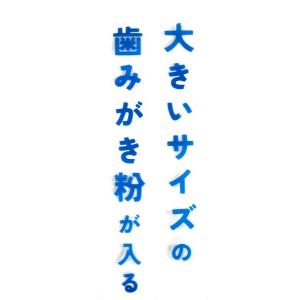 大きな歯ブラシケース 7×5.1×高さ20cm...の詳細画像3
