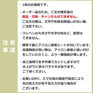 ◆オーダー品◆お名前ワッペン(シンプル 2行 ...の詳細画像3