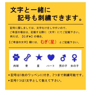 オーダーネーム ネームワッペン ネーム ワッペ...の詳細画像4