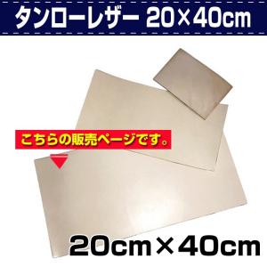 彫金 DVD The Essential Guide to Drawing Scrolls by Sam Alfano 唐草