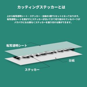 サソリ カッティングステッカー 屋外耐候 シー...の詳細画像3