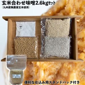 味噌作りセット 無農薬玄米麹の合わせ味噌2.6〜2.7kg　仕込み袋付き　甘口　発芽玄米麹使用　手作り味噌セット　自然海塩