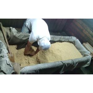 乾燥米麹 1kg(バラ麹タイプ) 乾燥麹 甘酒...の詳細画像2