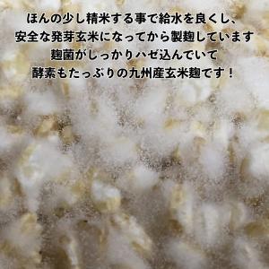無農薬玄米麹 国産(乾燥) 1kg大袋入(3個...の詳細画像1