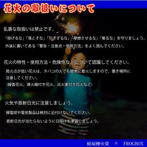 焚昇スパークニューゴールド【1箱】50本入り ...の詳細画像4