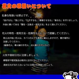 焚昇スパークニューゴールド【2箱】100本 ケ...の詳細画像5