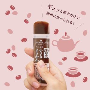 井村屋 片手で食べられる小さなようかん 4種類...の詳細画像1