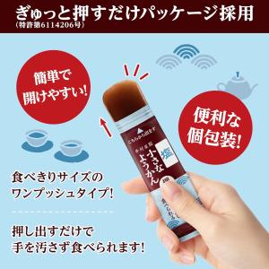 井村屋 片手で食べられる小さなようかん 4種類...の詳細画像3