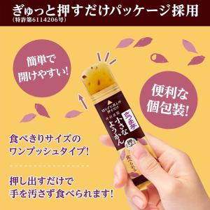 井村屋 片手で食べられる小さなようかん 4種類...の詳細画像4