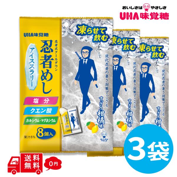 忍者めし アイススラリー すっきり柑橘味 3袋 (1袋8個入)  熱中症対策 塩分 クエン酸 カルシ...