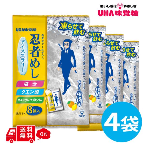 忍者めし アイススラリー すっきり柑橘味 4袋 (1袋8個入)  熱中症対策 塩分 クエン酸 カルシ...