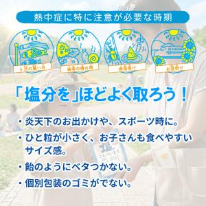 熱中症対策!塩こんぺいとう 2袋セット 塩 塩...の詳細画像1