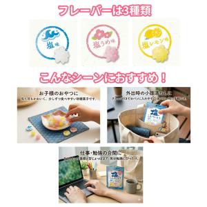 熱中症対策!塩こんぺいとう 2袋セット 塩 塩...の詳細画像2