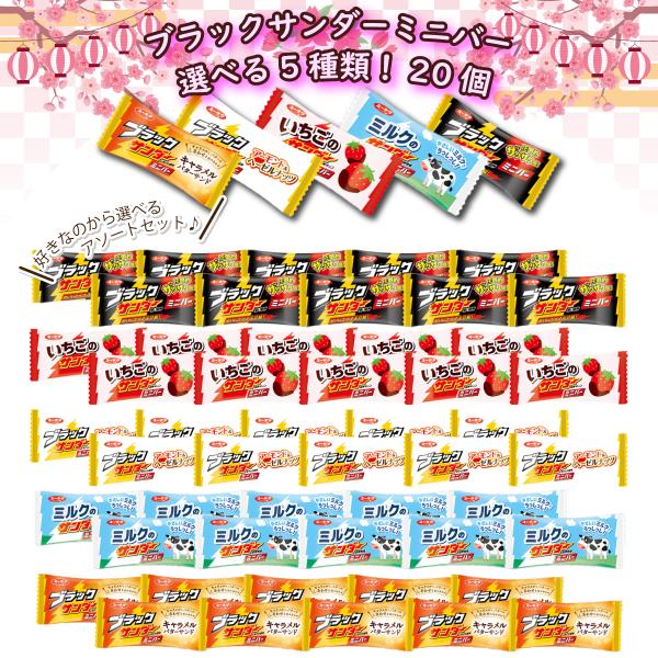 ユーラク ブラックサンダー ミニバー 10種類から選べる ミニバーセット (各10個・計20個) 駄...