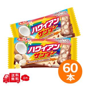 ハワイアンサンダー 60本セット チョコバー ブ...の商品画像
