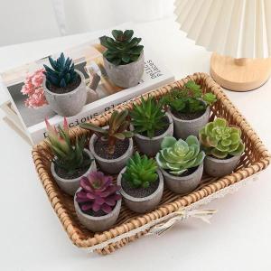 フェイクグリーン 人工観葉植物 多肉植物 鉢植...の詳細画像2