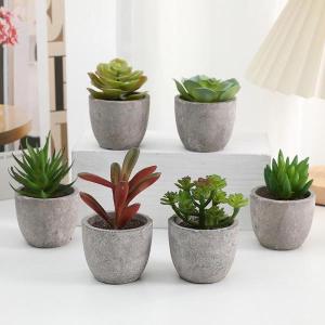 フェイクグリーン 人工観葉植物 多肉植物 鉢植...の詳細画像4