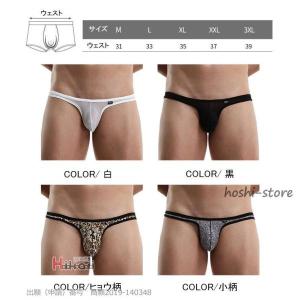 ビキニブリーフ 水着 メンズ 男性下着 極小 ...の詳細画像5