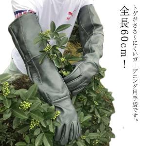 TOWA バラ用ガーデングローブ ウェストカウンティー ローズ ルビー/No