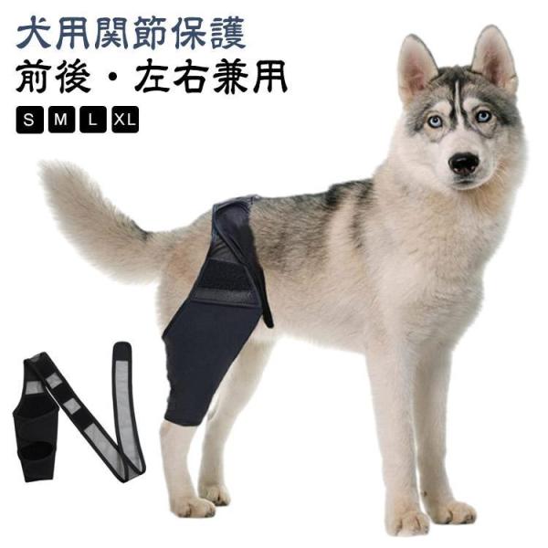 犬用 関節プロテクター 前後左右兼用 関節保護 固定 膝 靭帯 脱臼 保護 犬 サポーター 介護 リ...