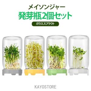 2個セット メイソンジャー 発芽瓶 蓋つき ガラス スプラウト 栽培 豆苗 ブロッコリー 種 水耕 キッチン ガーデニング 健康 野菜 ベランダ 家庭