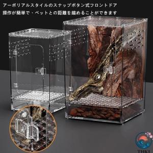 爬虫類 ケージ レプタイルボックス 両生類用飼...の詳細画像2