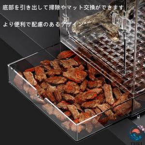 爬虫類 ケージ レプタイルボックス 両生類用飼...の詳細画像3