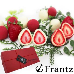 神戸フランツ いちごトリュフ アソート  ギフト スイーツ