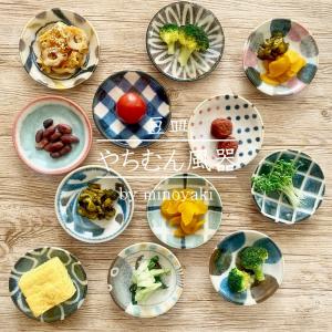 食器 やちむん風 豆皿 小皿 おしゃれ 和食器 かわいい 平皿 モダン プレート ぱいかじ風 沖縄風 ドット