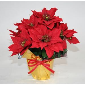 ポインセチア 鉢の商品一覧 通販 Yahoo ショッピング